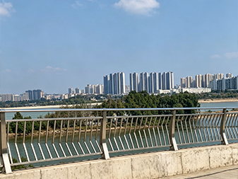 T023 Stainless Steel Bridge Guardrail